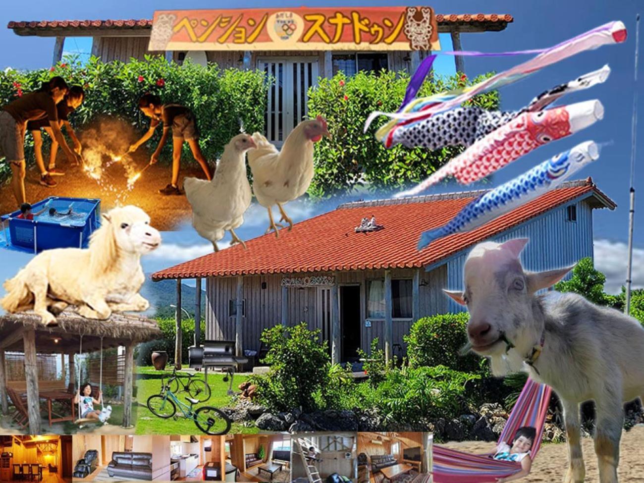 Pension Snadun Ginoza Extérieur photo